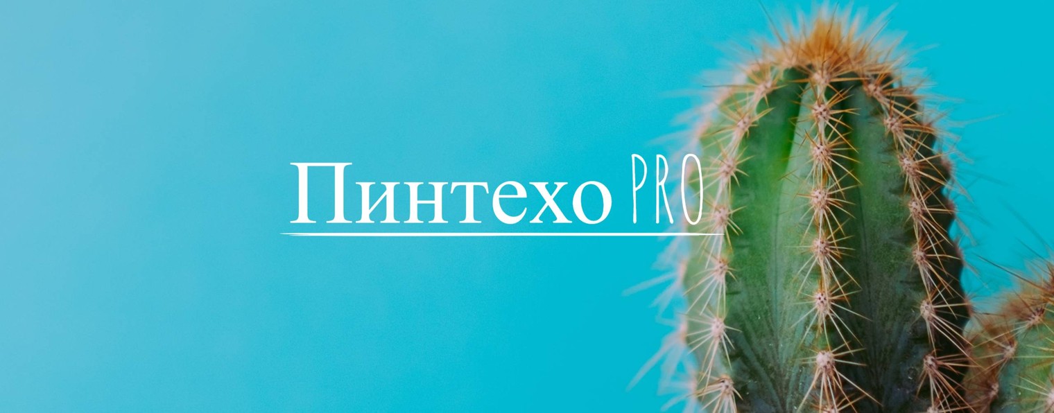 Пинтехо PRO