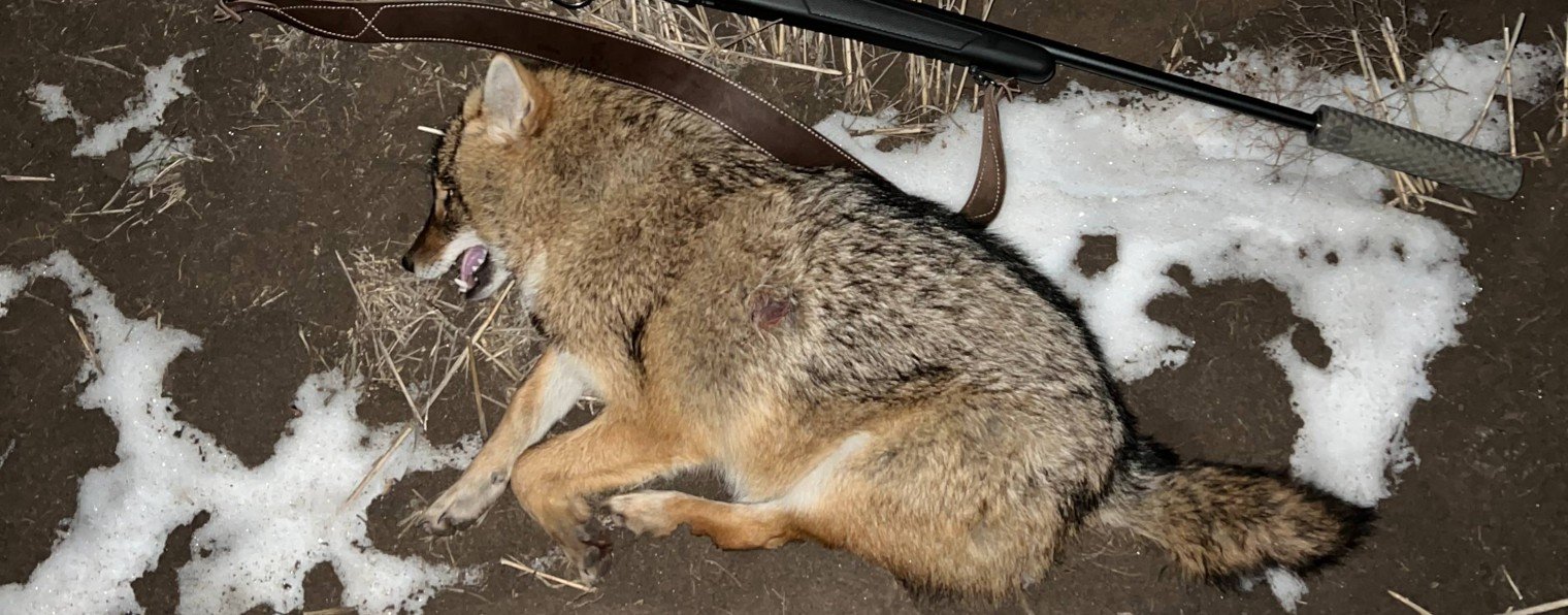 Просто охота