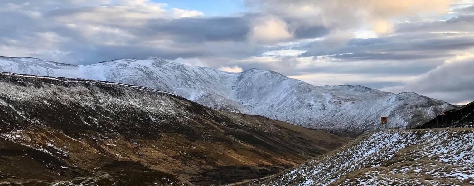 Путешествуйте с арт-гидом Татьяной Уайт