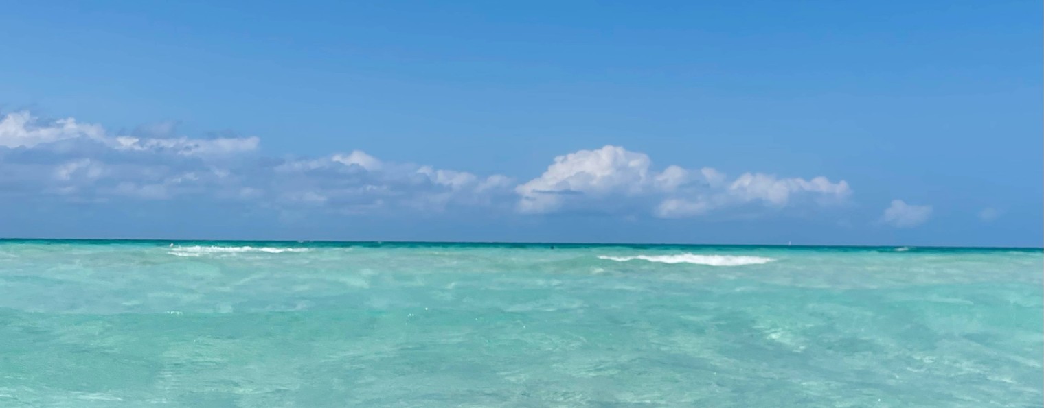 Денис Малыгин