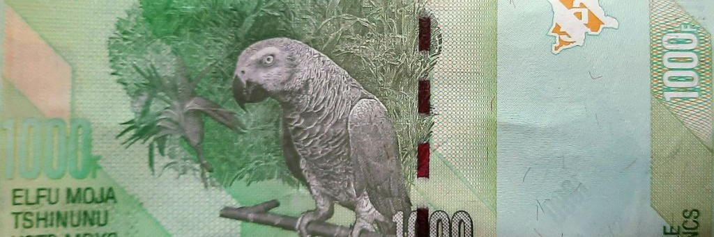 Попугай Жако Ники