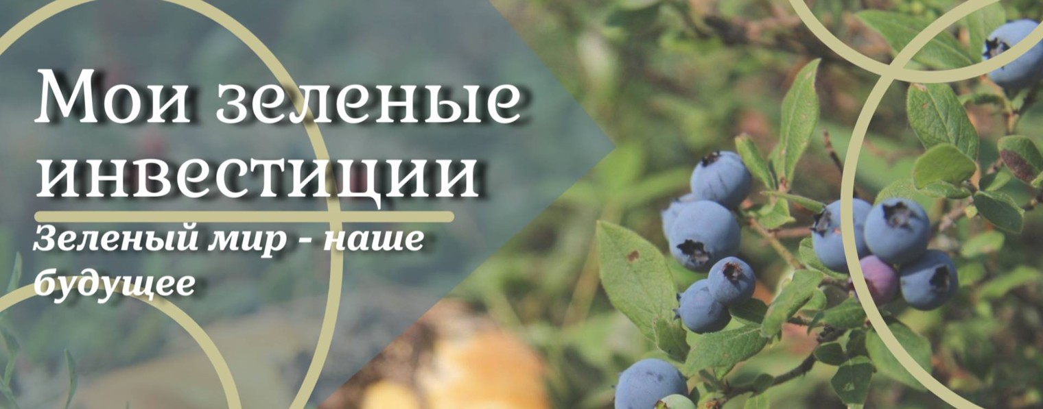 Мои зеленые инвестиции