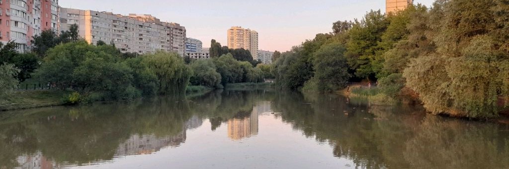 Артём Колесников