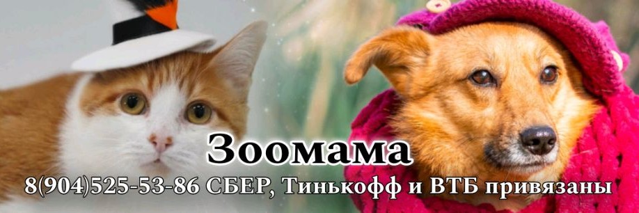 ЗООМАМА