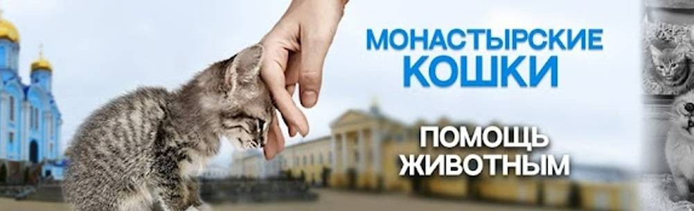 Монастырские кошки
