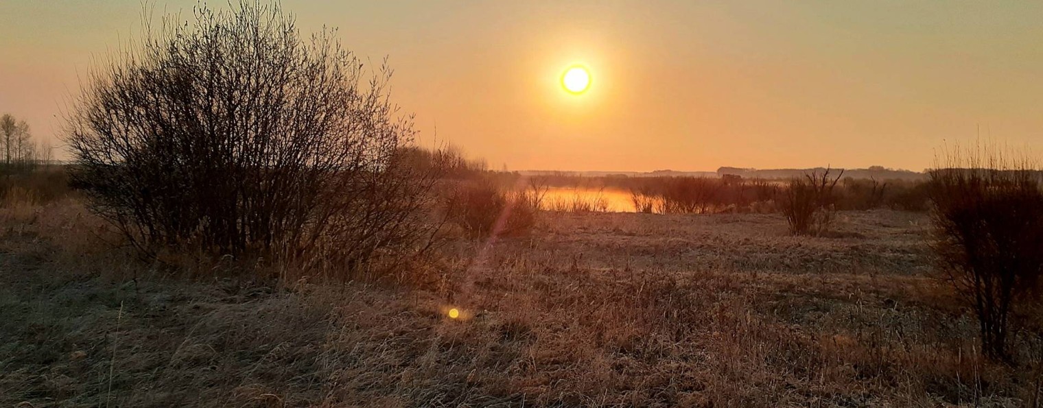 Александр Молдован