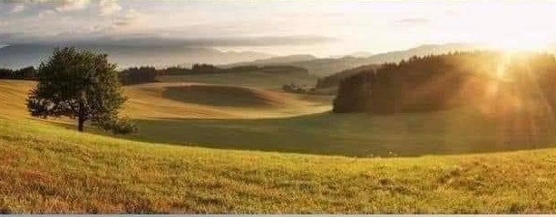 Олег Михайлец