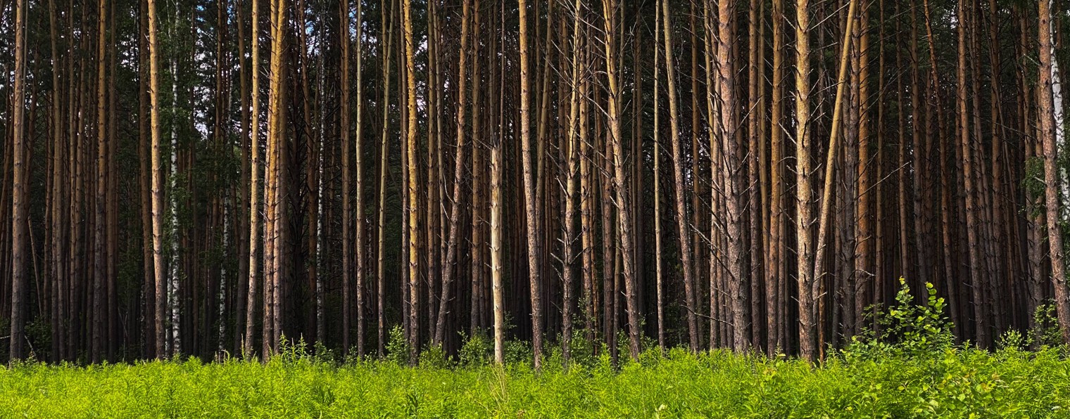 Будни художника