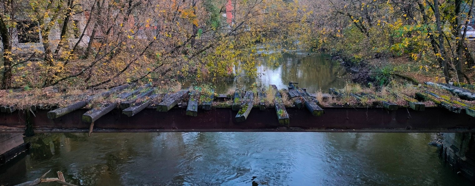 Зайчикова🐇