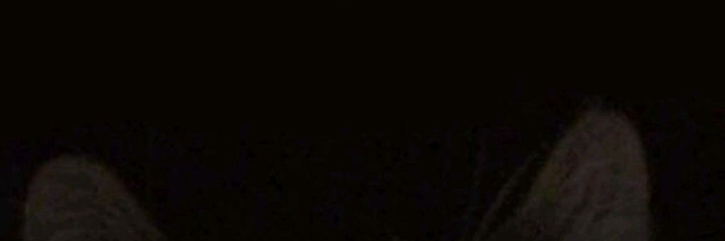 ㅤ