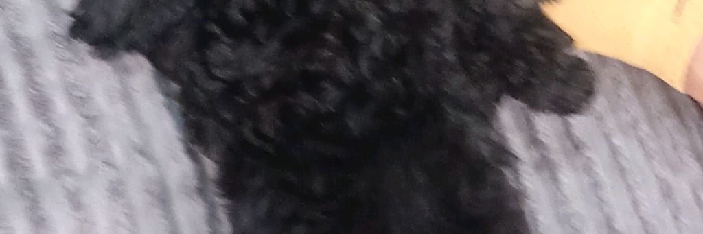 Молодой человек и Зевс