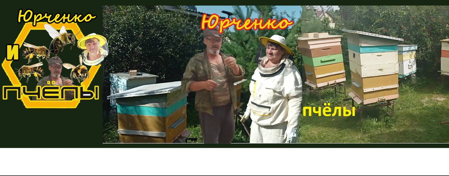 Пчеловод - Сибирь - 54
