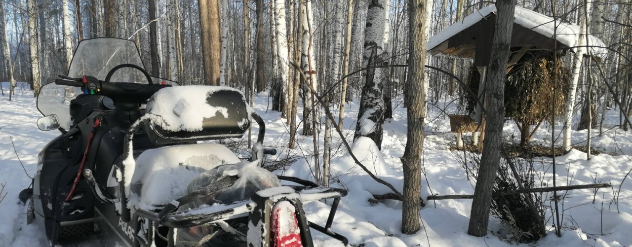 Сергеевич_66