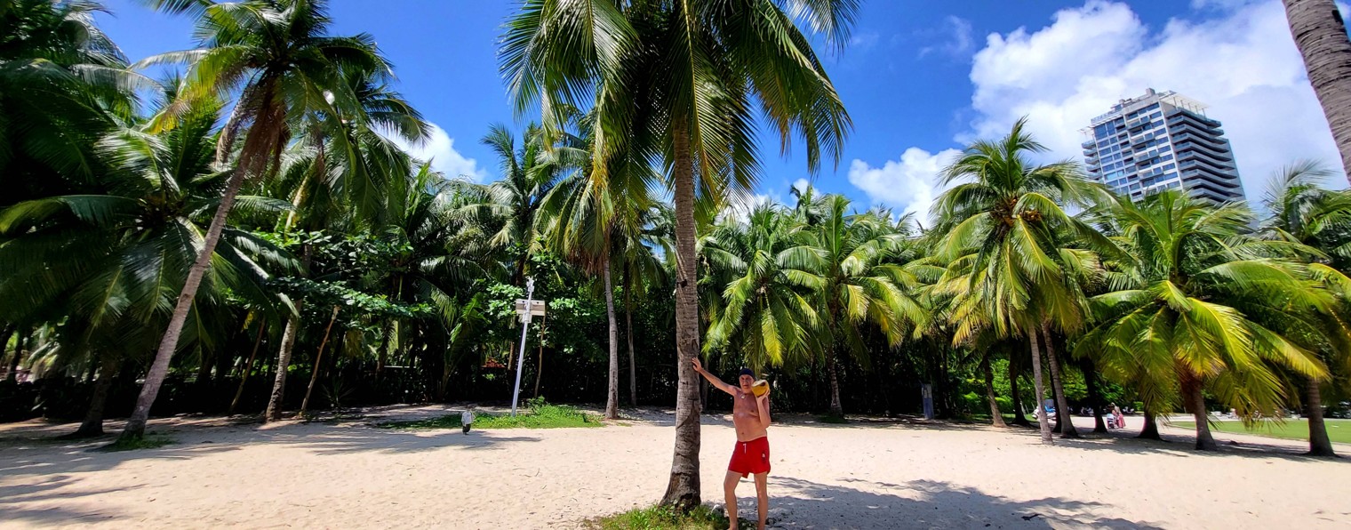 Алекс Седой