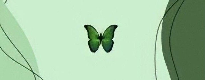 🍼reborn_star️️️️⭐️