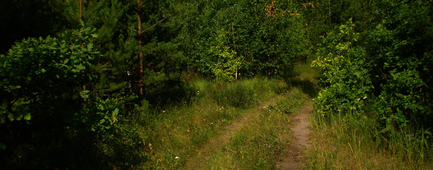GORIZVET