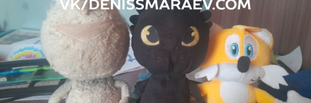 Денис Шмараев | Видео Каждый День.