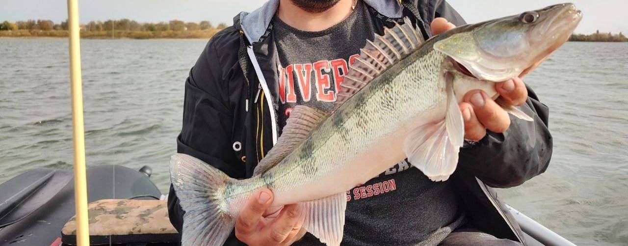 Окуненный стиль