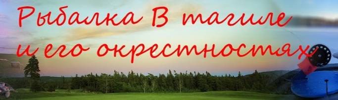 Рыбалка в Тагиле