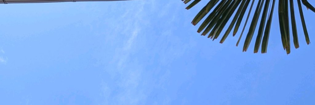 Лара без Кларнета