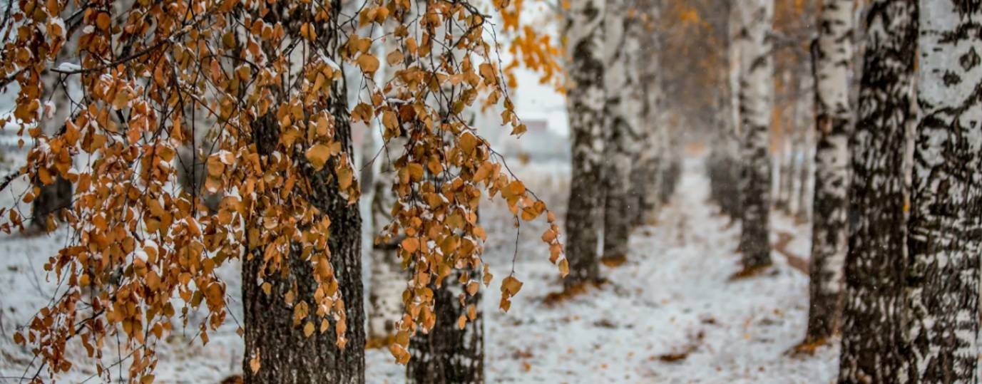 ДОМ КУЛЬТУРЫ ПОДТЕСОВО