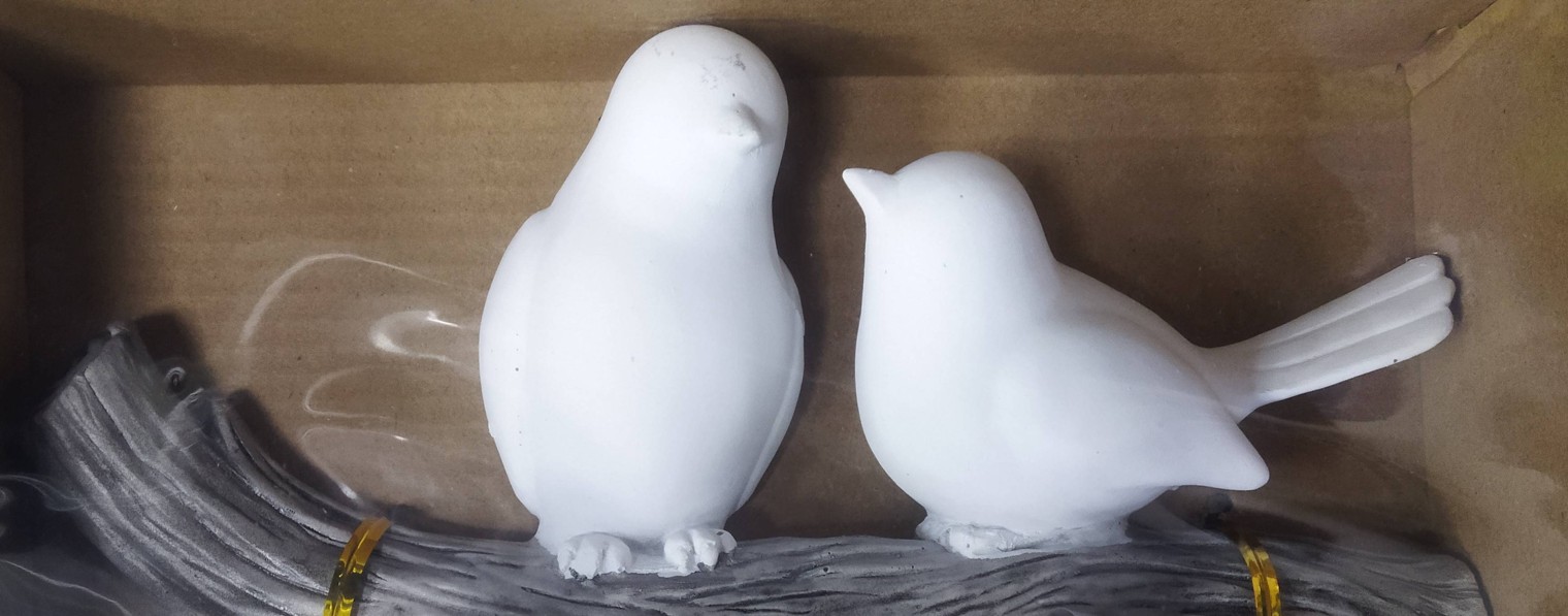 "Белая птица"