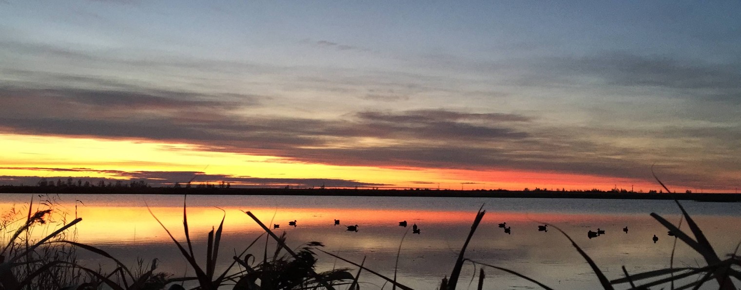 Для истории