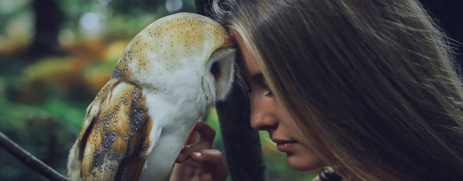 Ромашка с мнением