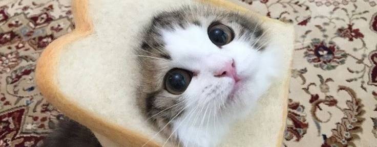 маинкрафт fun