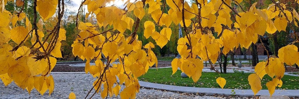 Окружающий мир