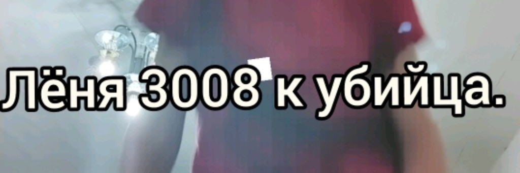 Лёня3008к убийца