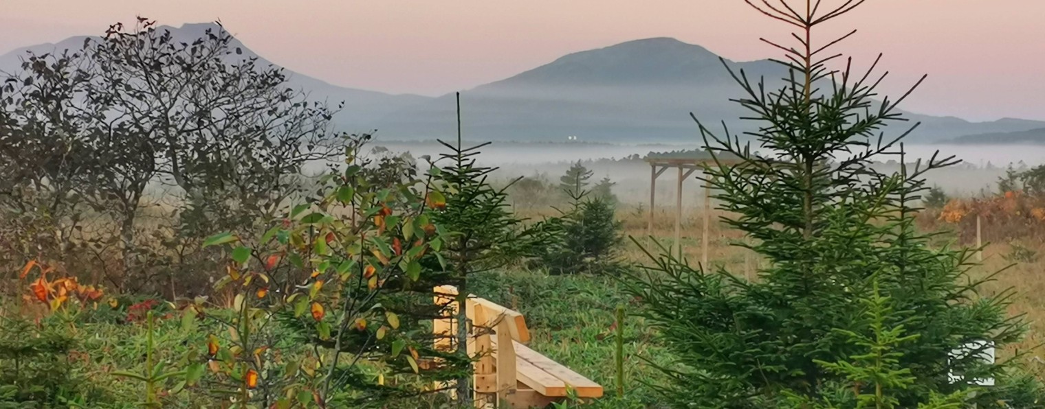 Кунаширские истории