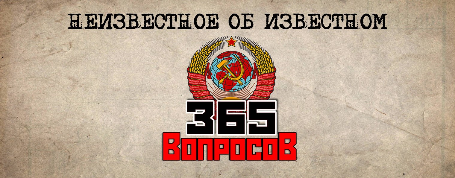 365 вопросов