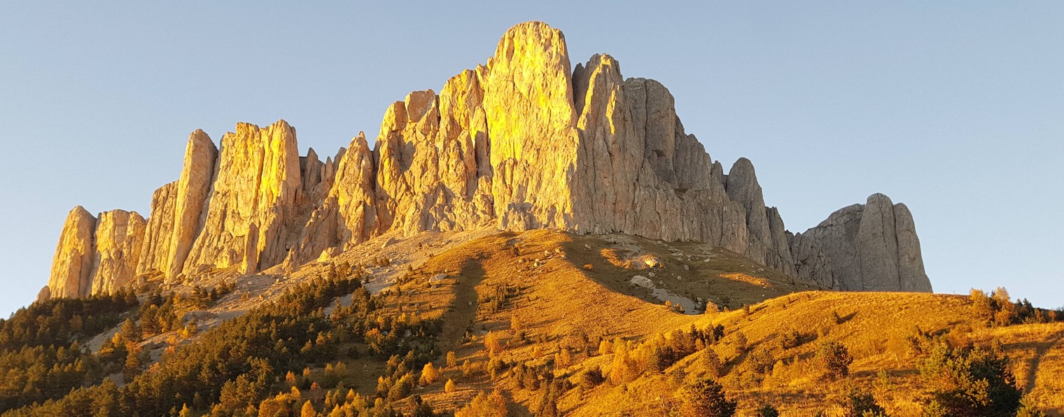 Артур Меликов