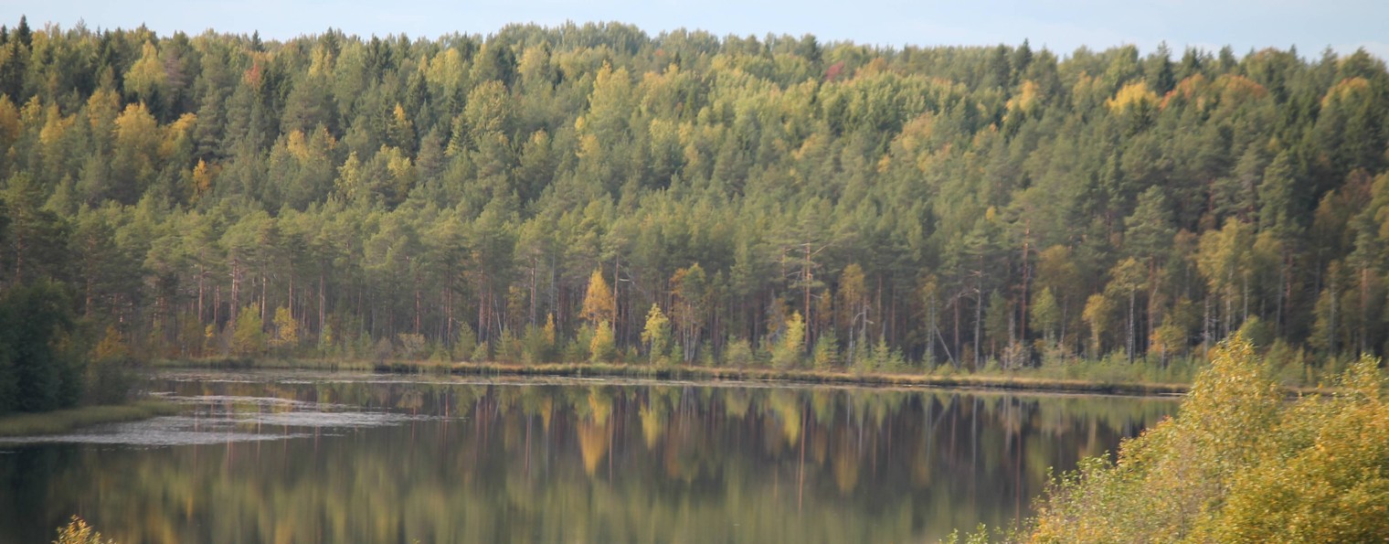 Денис Мартынов