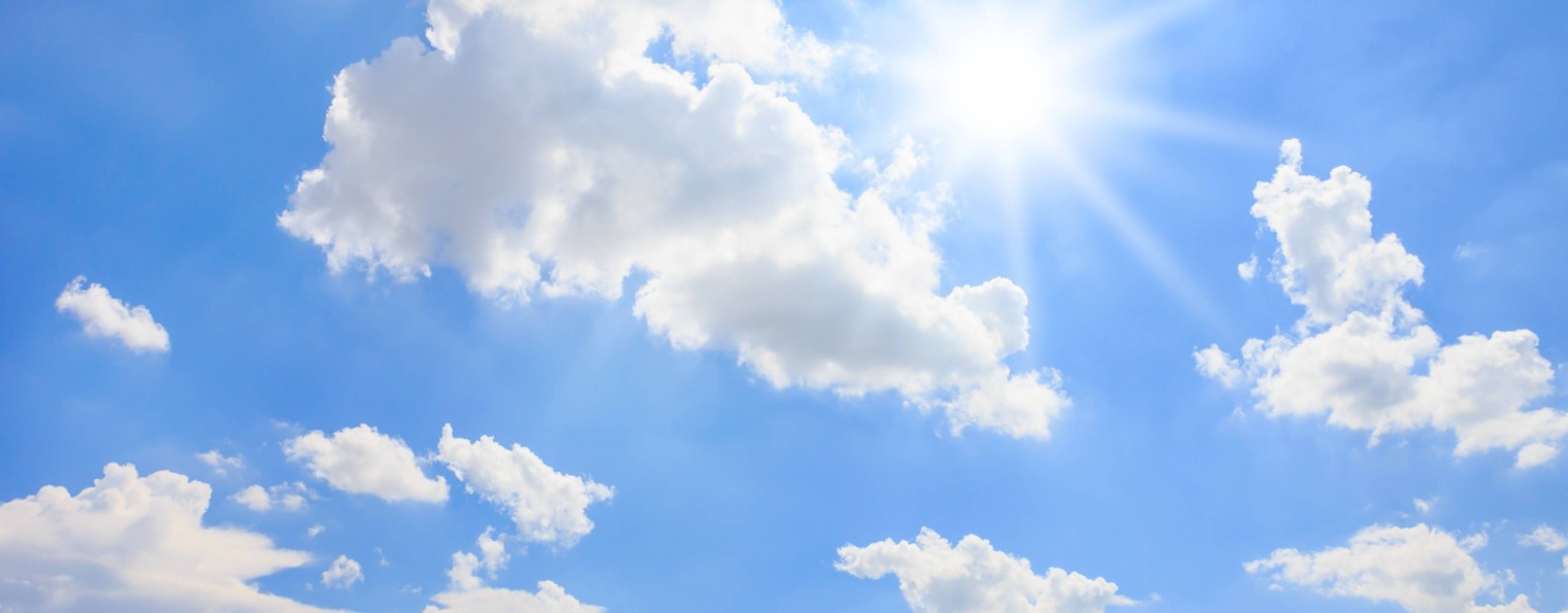 Школа Певчих АЛЛИЛУИЯ