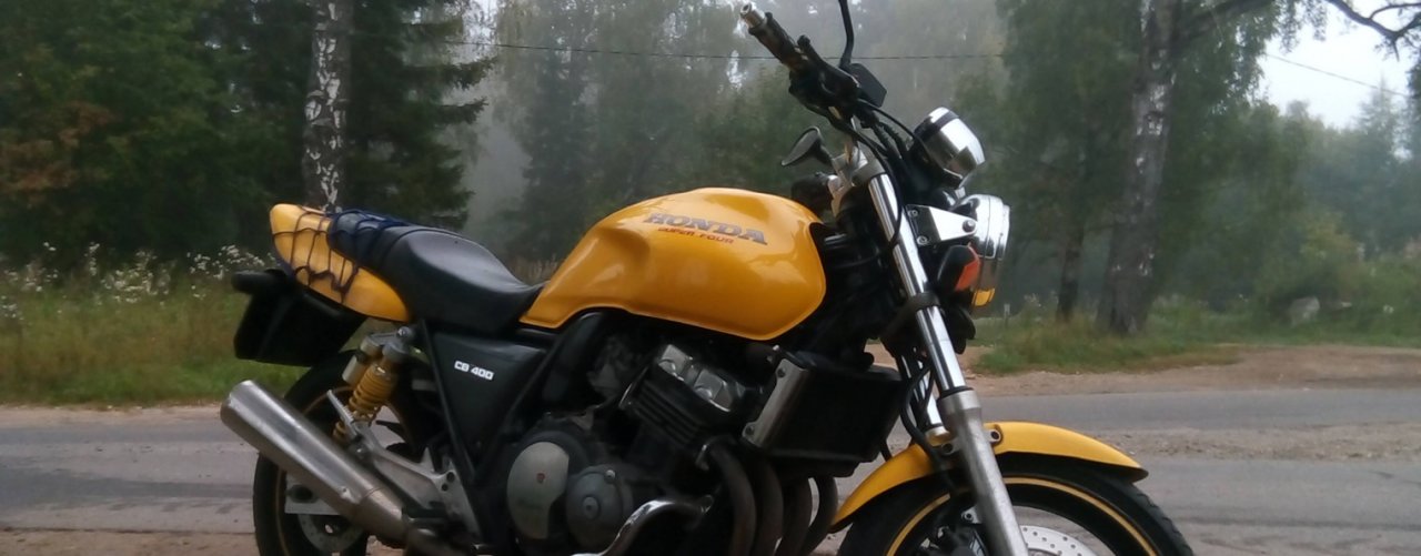 Никитка Жёлтая Сибишка