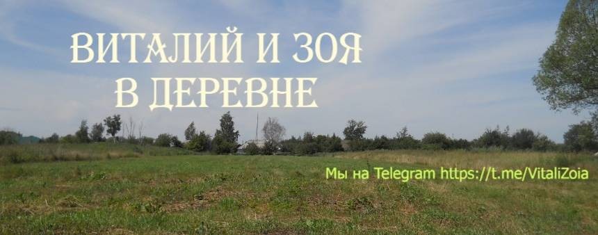 Жизнь в деревне - Виталий и Зоя