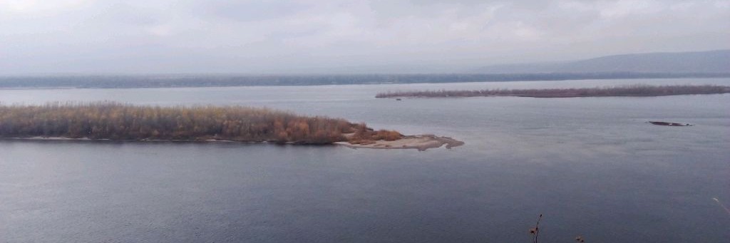 Лесник