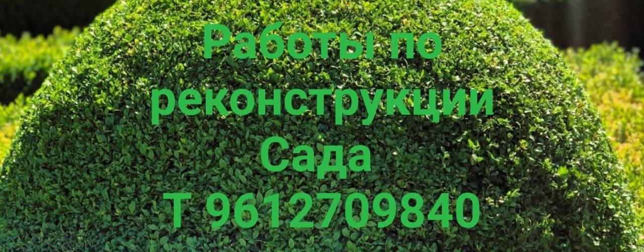 Ландшафтные сплетни от Грицаенко М.В