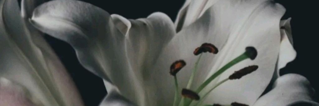 Кстати обо всём * Гринчик_Осипов Лилия Васильевна