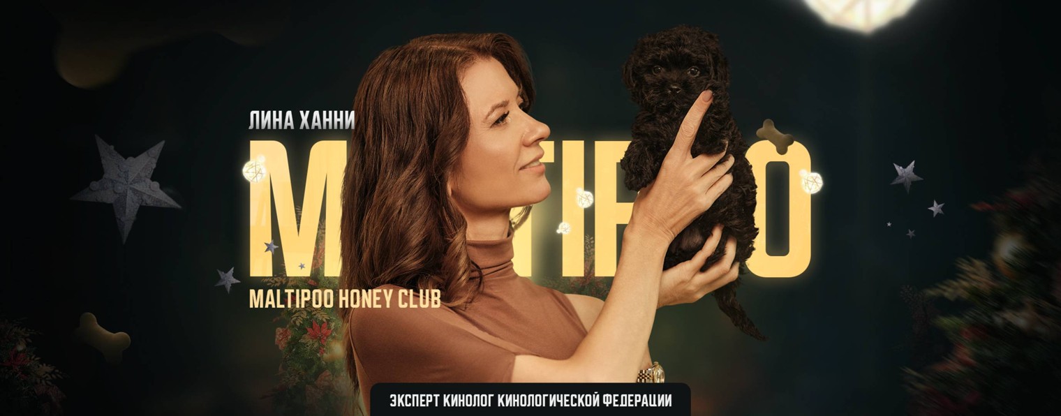 Мальтипу Honey Club | Лина Ханни кинолог