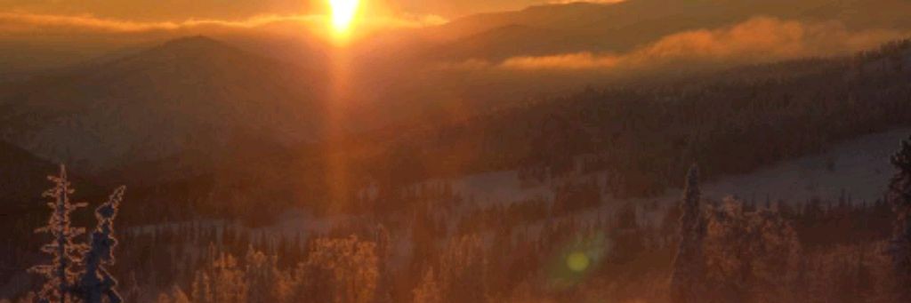 Серёга Панов