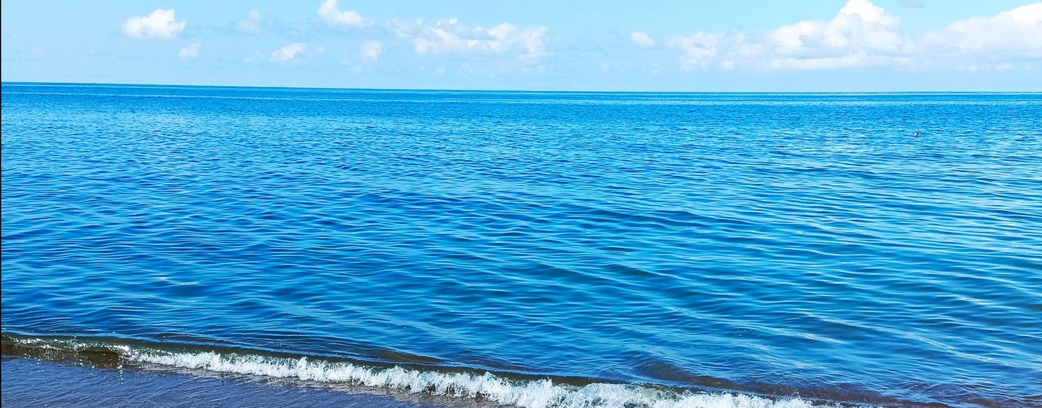 Сергей Хомутов