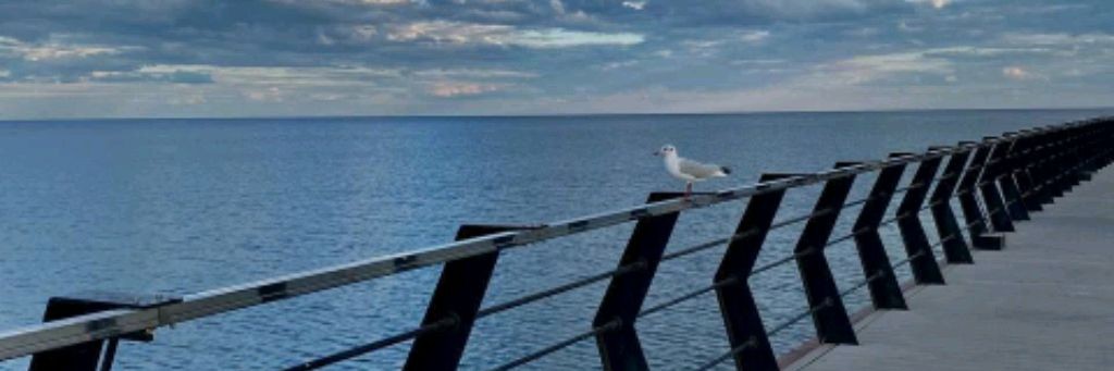 Жизнь в Мариуполе