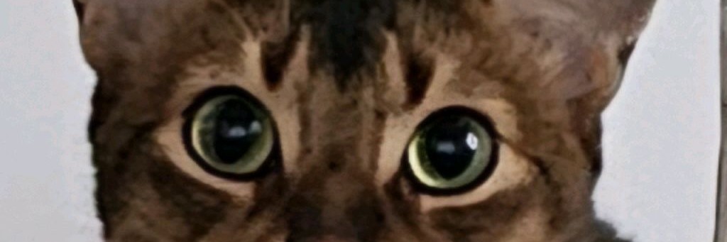 5 вёрст г. Надым - первые на Ямале