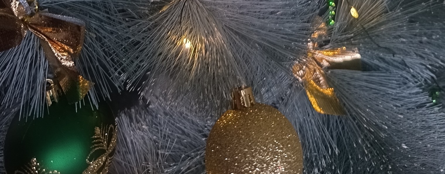 Вероника Ачапина