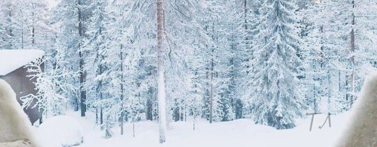 ☕😋🙂Курочкин Александр