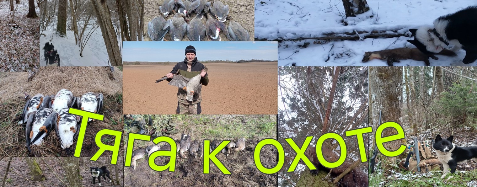 Тяга к охоте