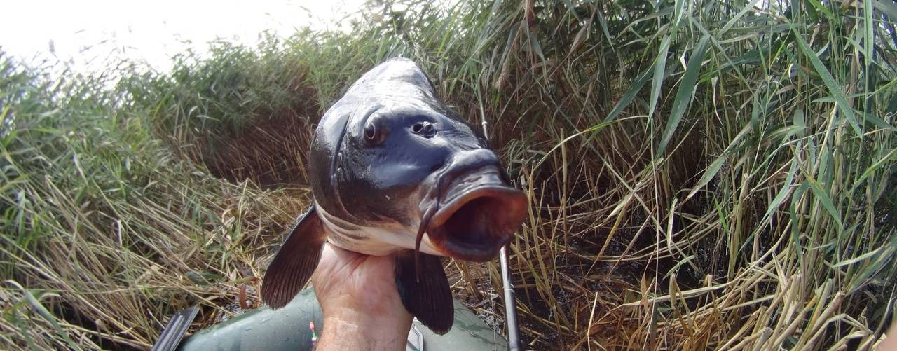 VASYA_DAVYDOV_FISHING